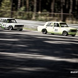 dzintara volga-4953